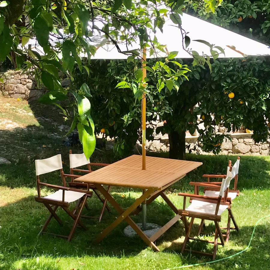 Villa Quinta Dos Carvalhos The Wine House Farm In Center Of Lamego - Capital Of The Douro Exterior foto