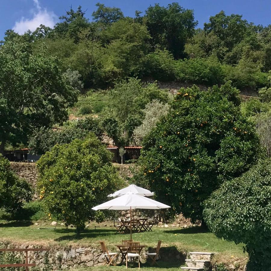 Villa Quinta Dos Carvalhos The Wine House Farm In Center Of Lamego - Capital Of The Douro Exterior foto