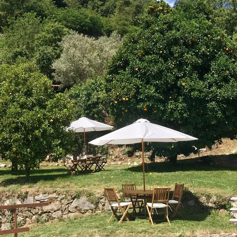 Villa Quinta Dos Carvalhos The Wine House Farm In Center Of Lamego - Capital Of The Douro Exterior foto
