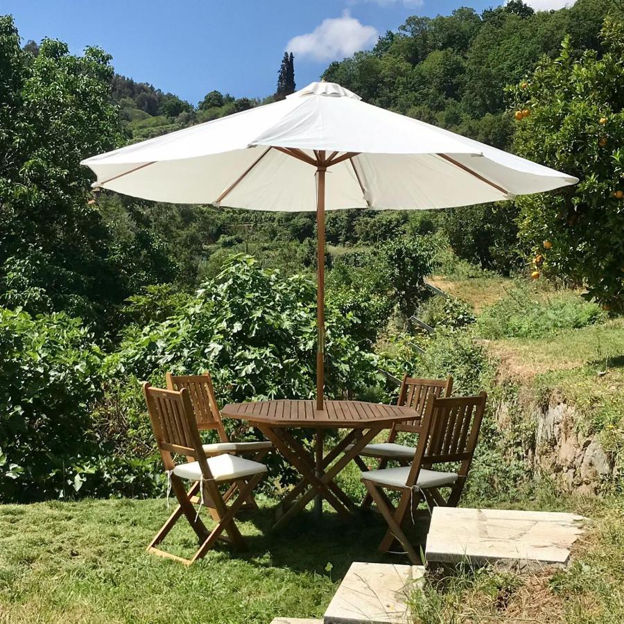 Villa Quinta Dos Carvalhos The Wine House Farm In Center Of Lamego - Capital Of The Douro Exterior foto