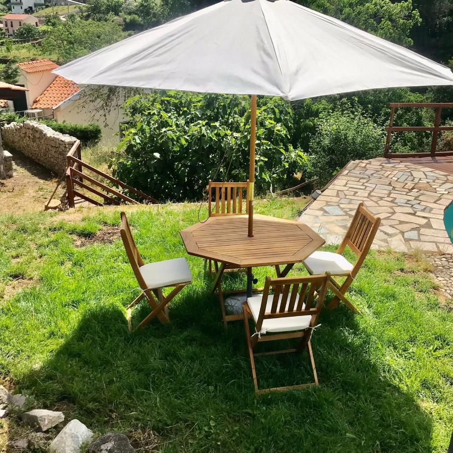 Villa Quinta Dos Carvalhos The Wine House Farm In Center Of Lamego - Capital Of The Douro Exterior foto