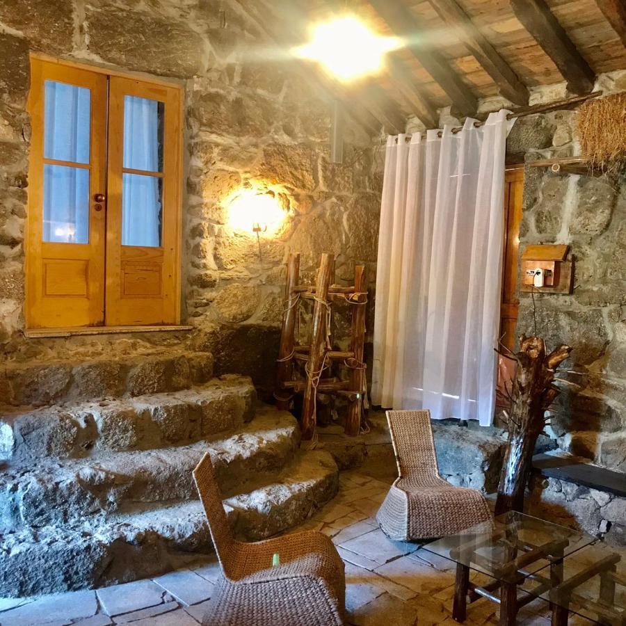 Villa Quinta Dos Carvalhos The Wine House Farm In Center Of Lamego - Capital Of The Douro Exterior foto