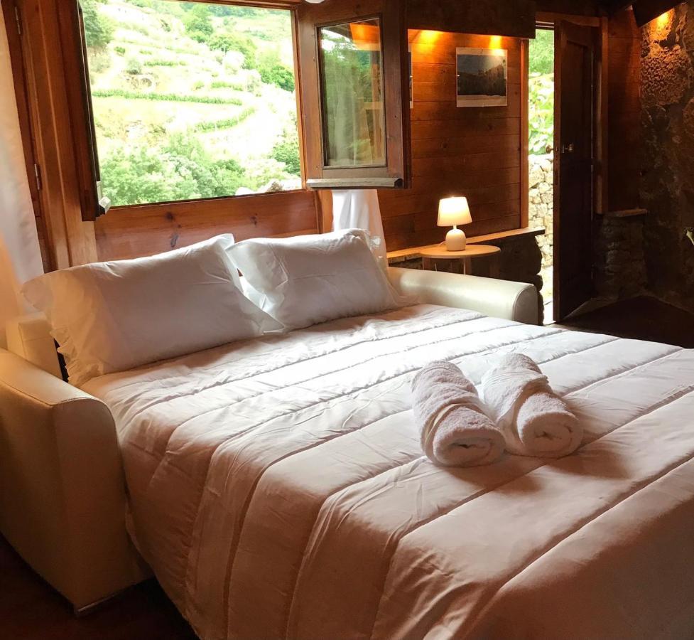 Villa Quinta Dos Carvalhos The Wine House Farm In Center Of Lamego - Capital Of The Douro Exterior foto