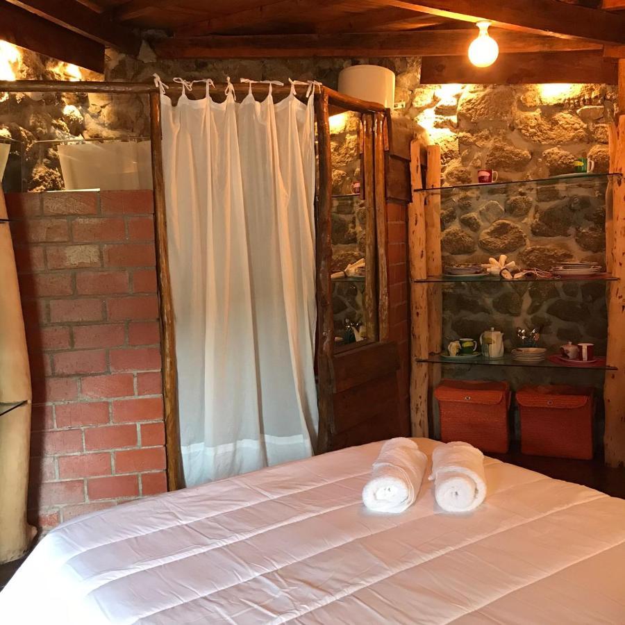 Villa Quinta Dos Carvalhos The Wine House Farm In Center Of Lamego - Capital Of The Douro Exterior foto