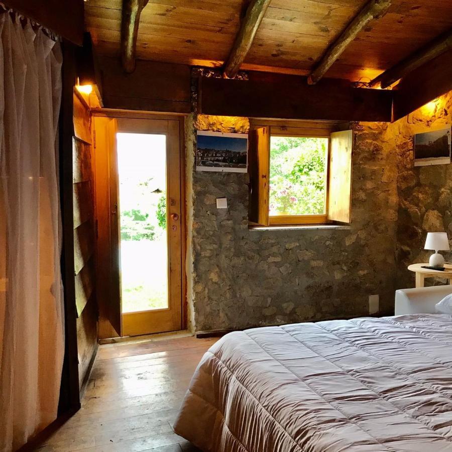 Villa Quinta Dos Carvalhos The Wine House Farm In Center Of Lamego - Capital Of The Douro Exterior foto