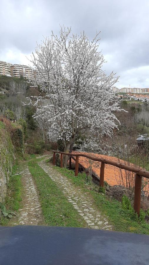 Villa Quinta Dos Carvalhos The Wine House Farm In Center Of Lamego - Capital Of The Douro Exterior foto