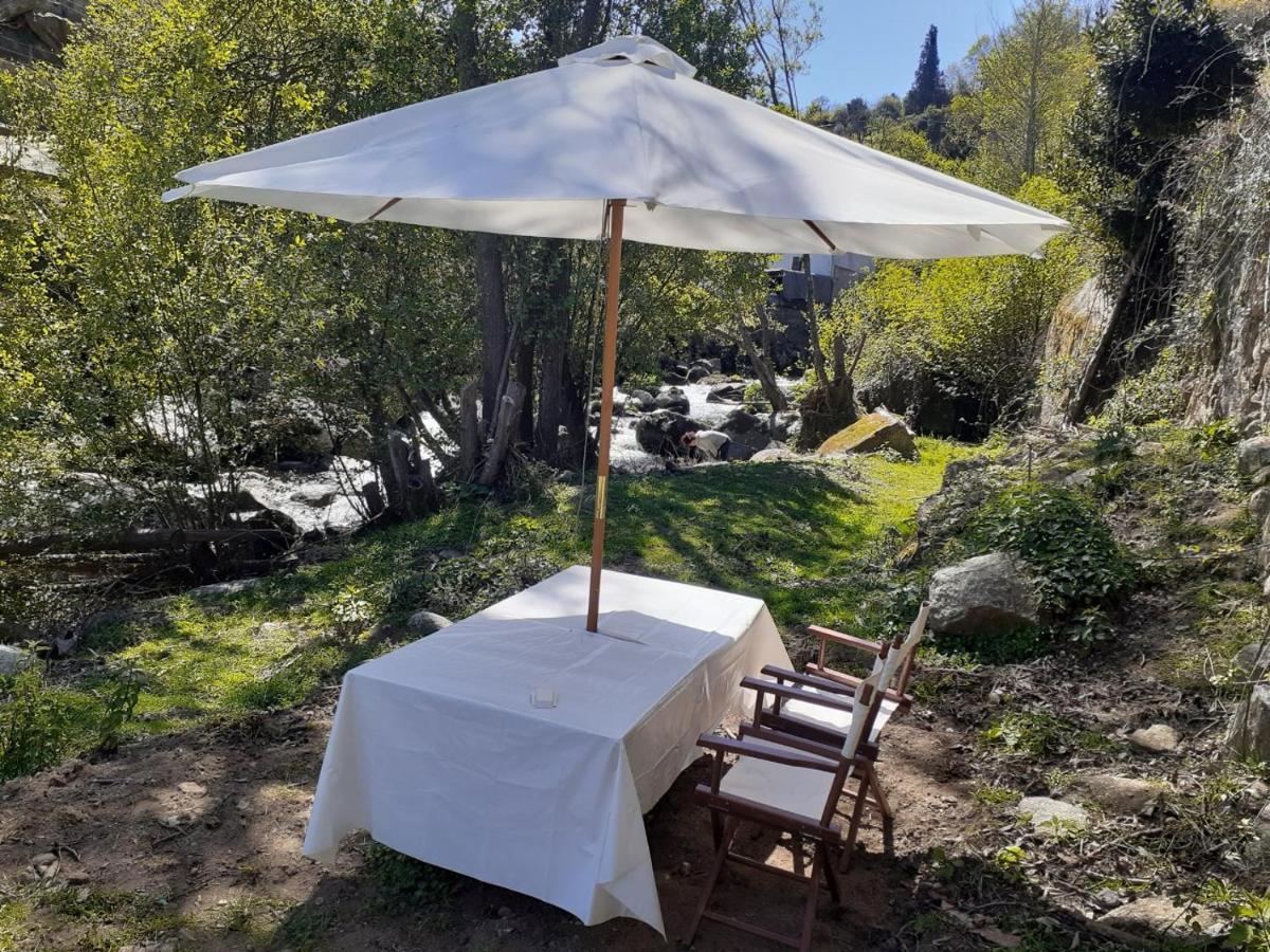 Villa Quinta Dos Carvalhos The Wine House Farm In Center Of Lamego - Capital Of The Douro Exterior foto